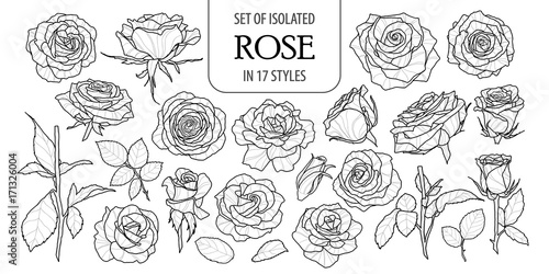 Set of isolated rose in 17 styles Canvas Print