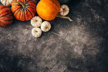 Wall Mural - orange and white pumpkins on a black background, top view.