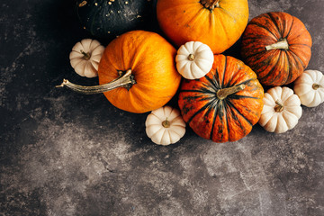 Wall Mural - pumpkins on a black background.