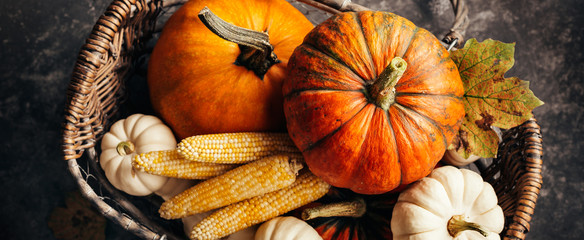 Wall Mural - pumpkins and corn in the basket, top view.