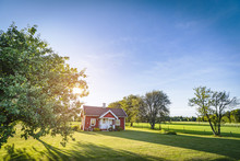 Small Red House On A Swedish Countryside Landscape