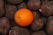 © Lyubov Furs - A beautiful orange in an old potato