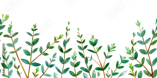 Foto-Gardine - Seamless border of a eucalyptus branches. Floral frame. Watercolor hand drawn illustration.White background. (von jula_lily)