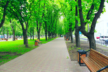 City Park With Promenade Path Benches And Big Green Trees