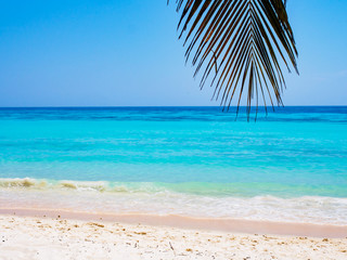 Wall Mural - White sand beach on Koh Rok island in southern Thailand