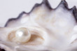 canvas print picture - Single pearl in an oyster shell 