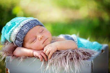 Canvas Print - Cute newborn baby boy, sleeping peacefully in basket in garden