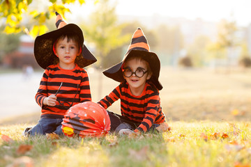 Wall Mural - Two boys in the park with Halloween costumes