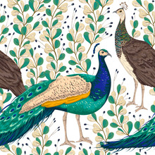 Seamless Pattern With Male And Female Peacock, Berries And Leaves. Vintage Hand Drawn Vector Illustration In Watercolor Style