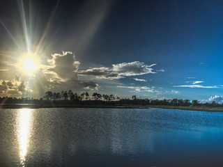 Wall Mural - beautiful and peaceful sunset in the marshes of a swamp