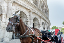 Horse Drawn Carriage Or Botticella In Italian On Summer Rome Street In Front Of Ancient Colosseum