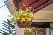 Flower Mobile Pot Hang On Buildings