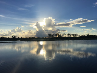 Wall Mural - beautiful and peaceful sunset in the marshes of a swamp