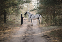 Beautiful Woman In Black Standing Behind Her White Horse (painted As Skeleton) In The Autumn Forest.