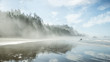 © Cavan Images - Idyllic view of Indian Beach at Ecola State Park during foggy weather