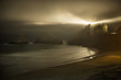 © Cavan Images - Scenic view of shore against Yaquina Head Light during night