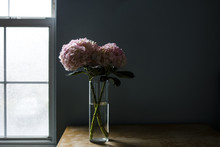 Hydrangeas In Drinking Glass At Table Against Wall