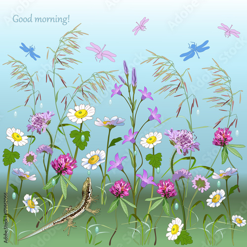Meadow With Flowers After Rain Lizard And Dragonflies Buy This