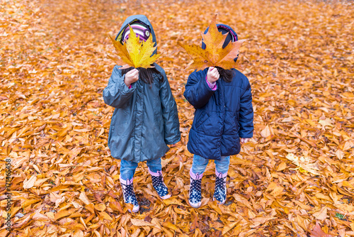 Fotografía Little girls with a hidden face with a maple leaf in an autumn park