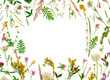 Frame of wildflowers and leaves on white background