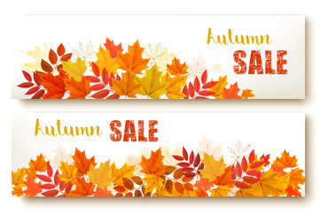 Two abstract autumn banners with colorful leaves Vector