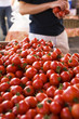 © Sara Remington Photography LLC/Stocksy - Choosing Tomatoes