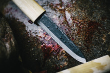 One Dirty Bloody Wet Knife On A Stone After Skinning A Fish