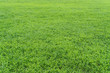 © onotorono - Green Grassland 緑の草地２