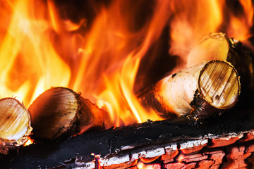 birch wood burning in the fireplace or bonfire. Background