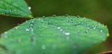 Fototapeta Tęcza - Water Droplets