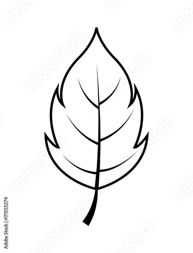 Spring Leaf Drawing Buy This Stock Vector And Explore Similar Vectors At Adobe Stock Adobe Stock Spring Leaf Drawing Buy This Stock Vector And Explore Similar Vectors At Adobe Stock Adobe Stock