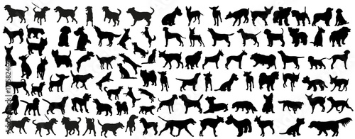 vector, isolated black silhouette of a dog, collection Canvas Print