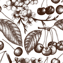 Vector Seamless Pattern With Hand Drawn Cherry Tree Illustration