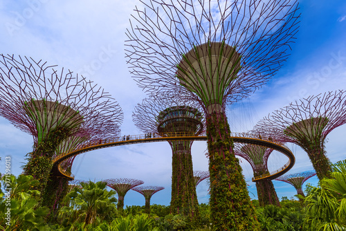 Fototapeta Park Gardens by the Bay - Singapore