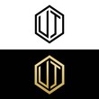 © triwaw - initial letters logo ut black and gold monogram hexagon shape vector