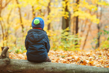 Back View Of Little Boy Sitting On A Log In Autumn Park.