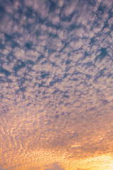 Wall Mural - sunset / sun rise sky with yellow and red light shining clouds and sky background and texture