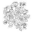 vector contour illustration of rose bouquet with berry