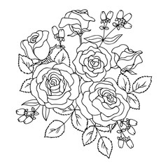 vector contour illustration of rose bouquet with berry