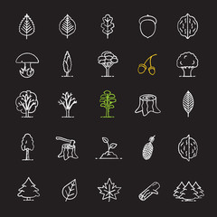 Wall Mural - Tree types chalk icons set