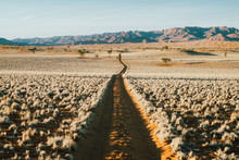 Long Empty Dirt Track In A Scenic Desert Landscape