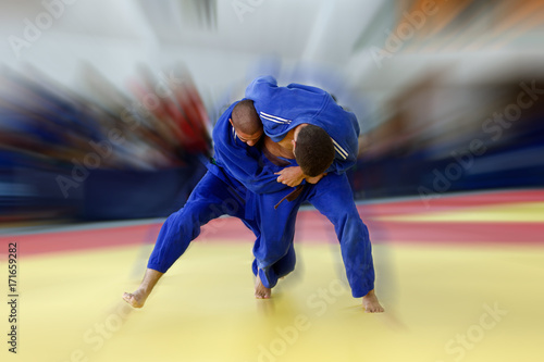 Dekoracja na wymiar  dwoch-judokow-w-niebieskich-judogi-walczylo