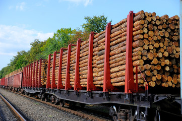 Freight train loaded with pine trunks