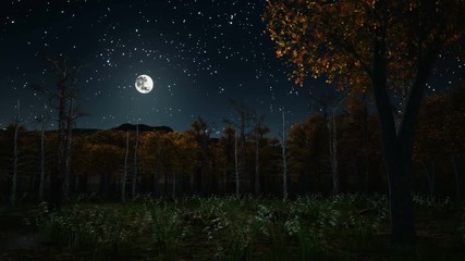 Wall Mural - haunted autumn forest with thicket of trees covered with fall foliage and spooky dead trees at dark 