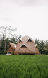 © Nabi Tang/Stocksy - Beautiful bio architecture dome made from bamboo in the middle of the rice field