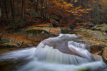 Autumn Yellow Forest And Stone River Stream.