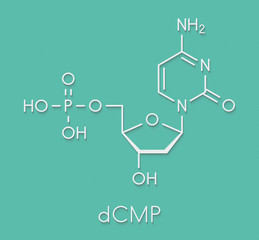 Poster - Deoxycytidine monophosphate (dCMP) nucleotide molecule. DNA building block. Skeletal formula.