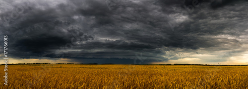Plakat Round burzy chmura nad pszenicznym fieldin Rosja. Panorama