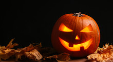 Halloween Pumpkin In Black Background