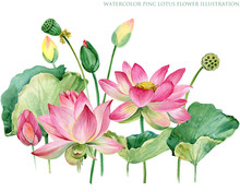 Pink Lotus Border. Watercolor Botanical Illustration.